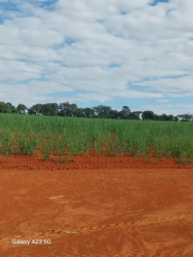 Imagem Vendo excelente fazenda em Lagoa da Prata/MG 376 hectares de terra