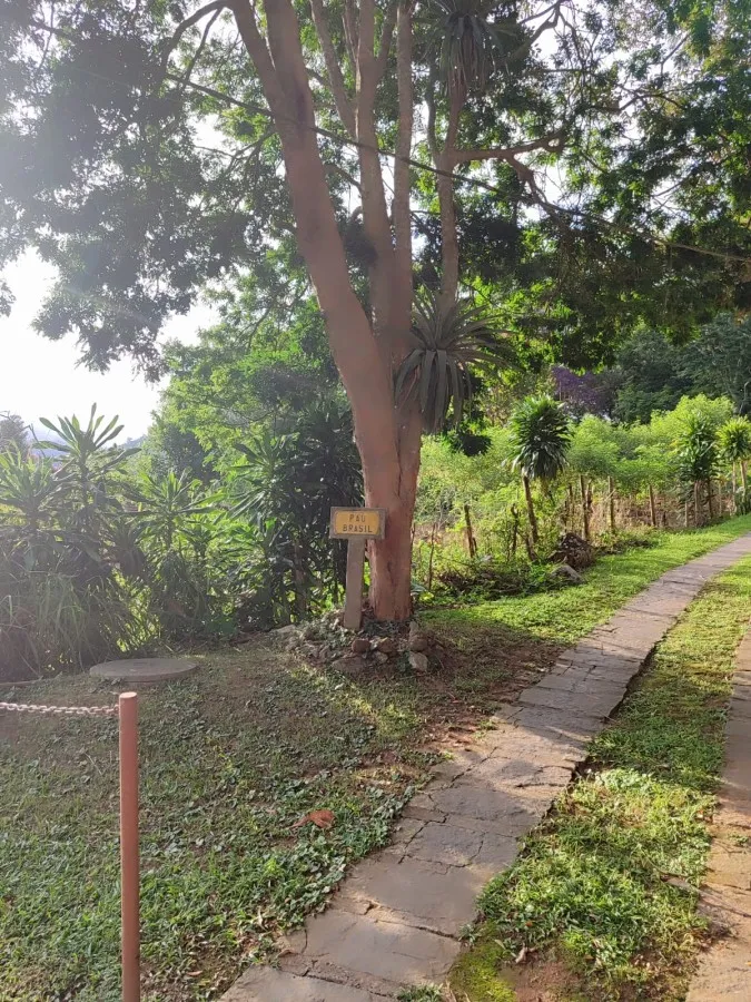 Imagem Casa para Venda em Petrópolis / RJ no bairro Samambaia