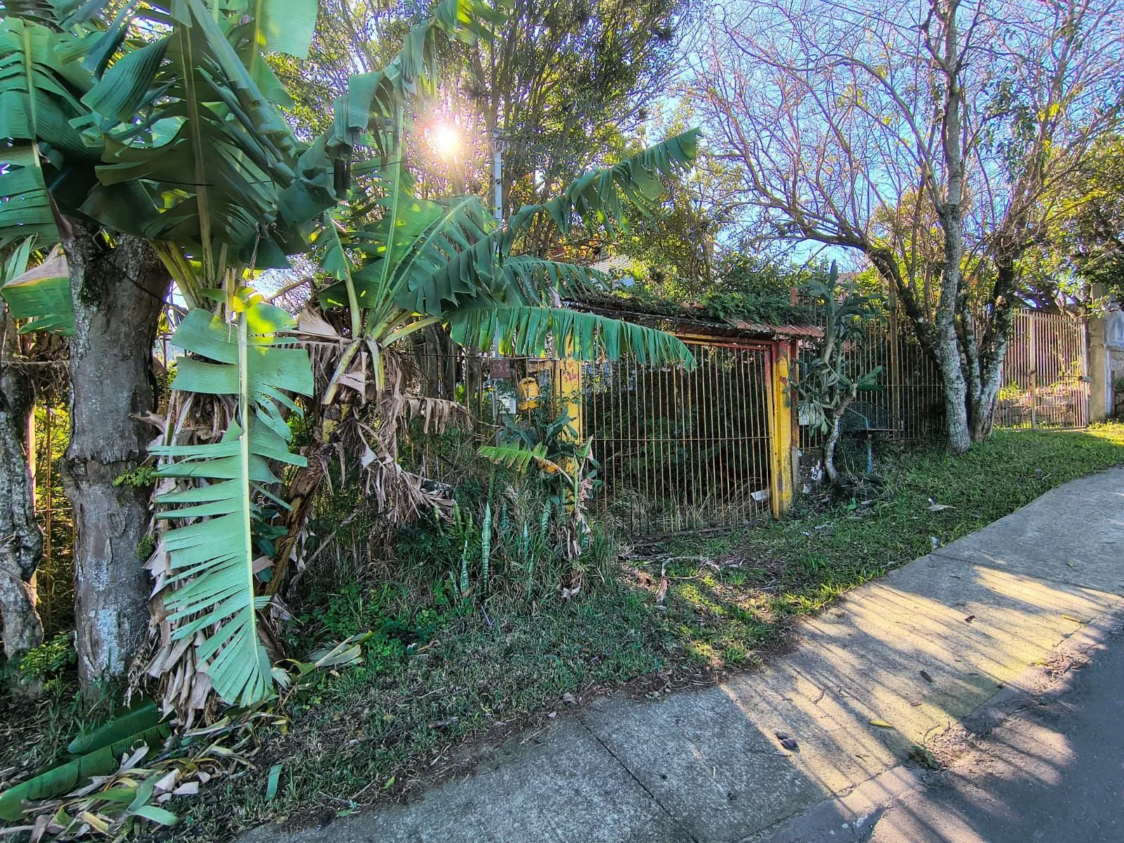 Imagem Terreno no bairro Vila Nova