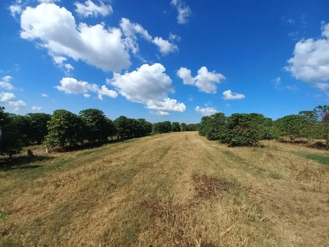 Imagem FAZENDA À VENDA - SANTO ANTÔNIO DO AMPARO (MG) 948 hectares de área total