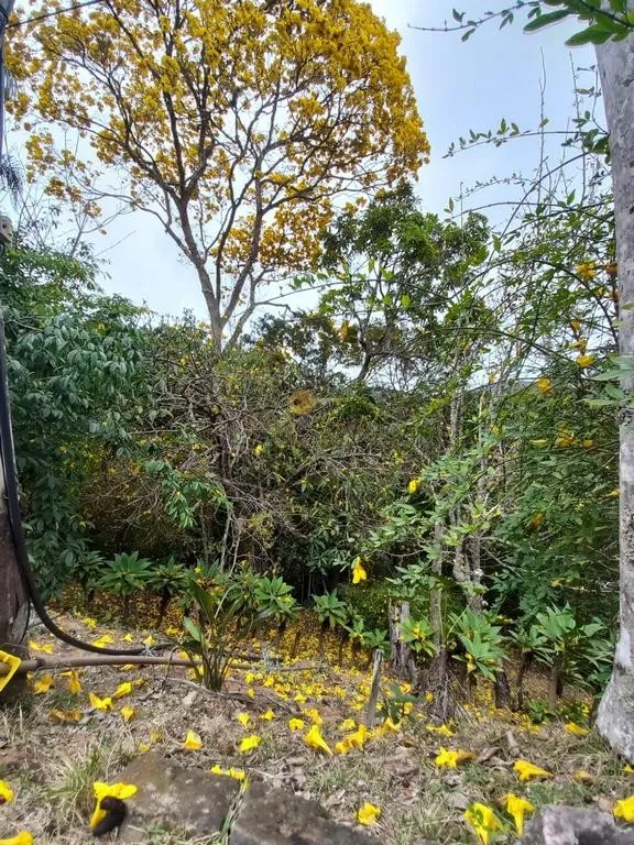 Imagem Sítio para Venda em Petrópolis / RJ no bairro Posse
