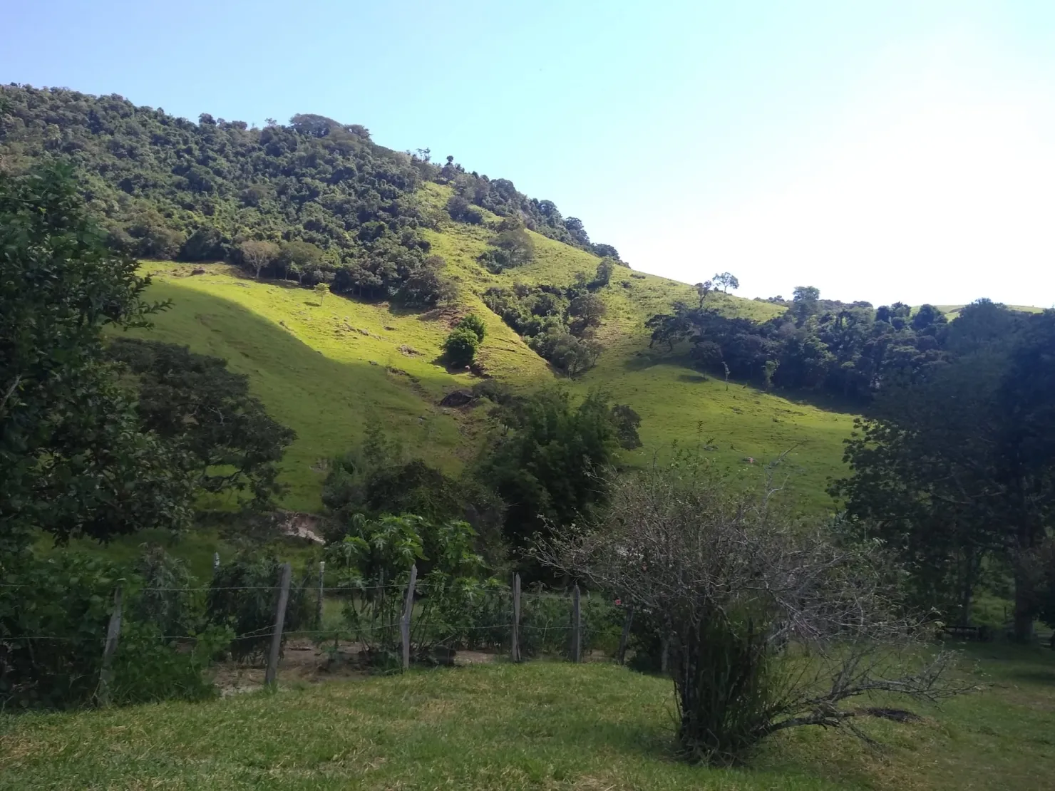 Imagem Chácara à venda 2 Quartos, 768000M², Zona Rural, Cunha - SP