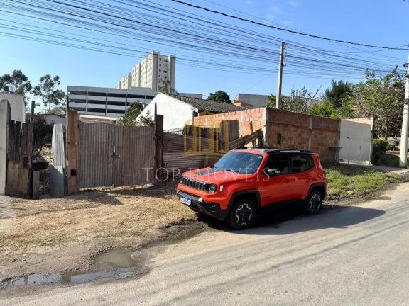 Imagem Excelente Terreno Torrão de Ouro 550m²