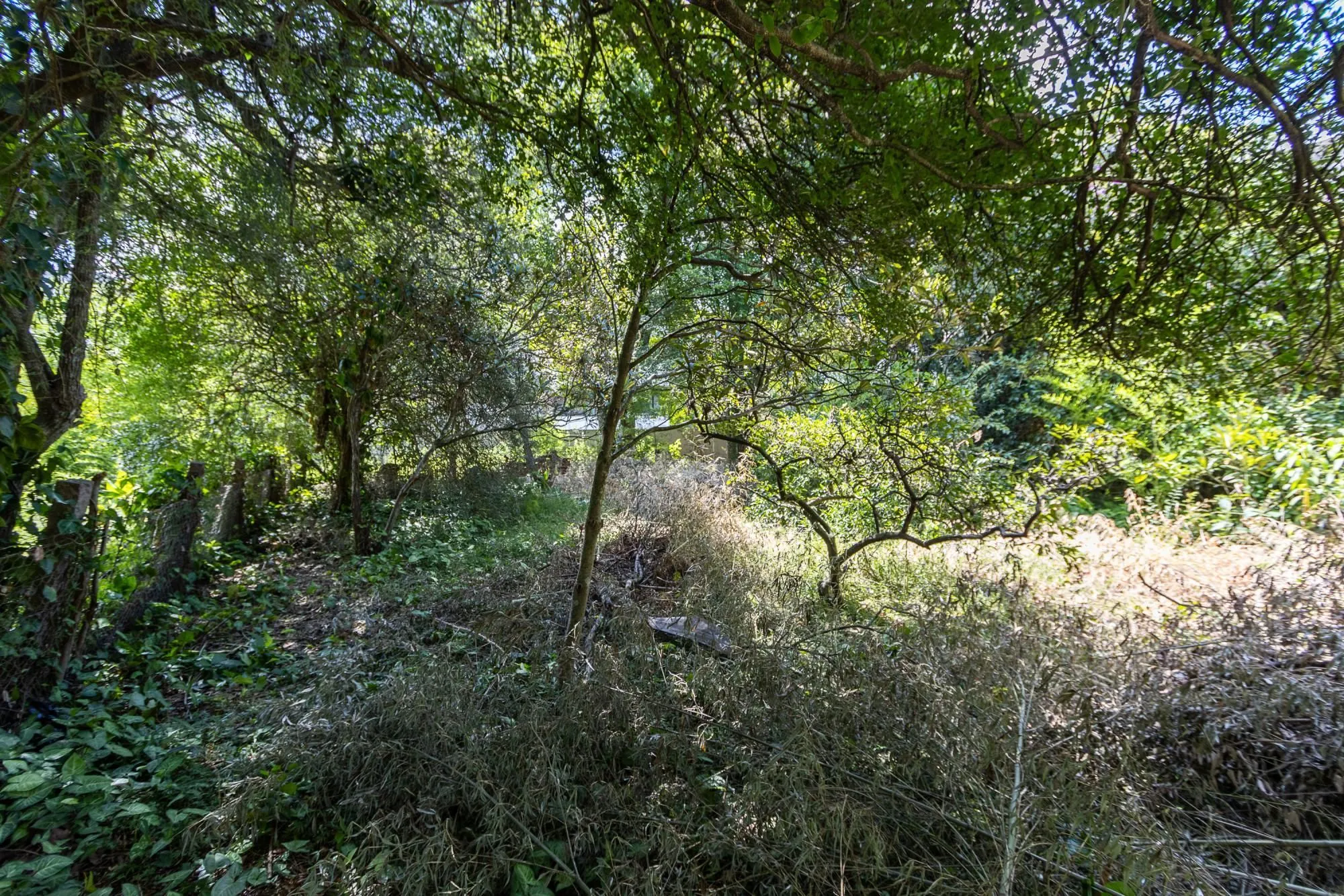 Imagem Terreno bairro Ipanema