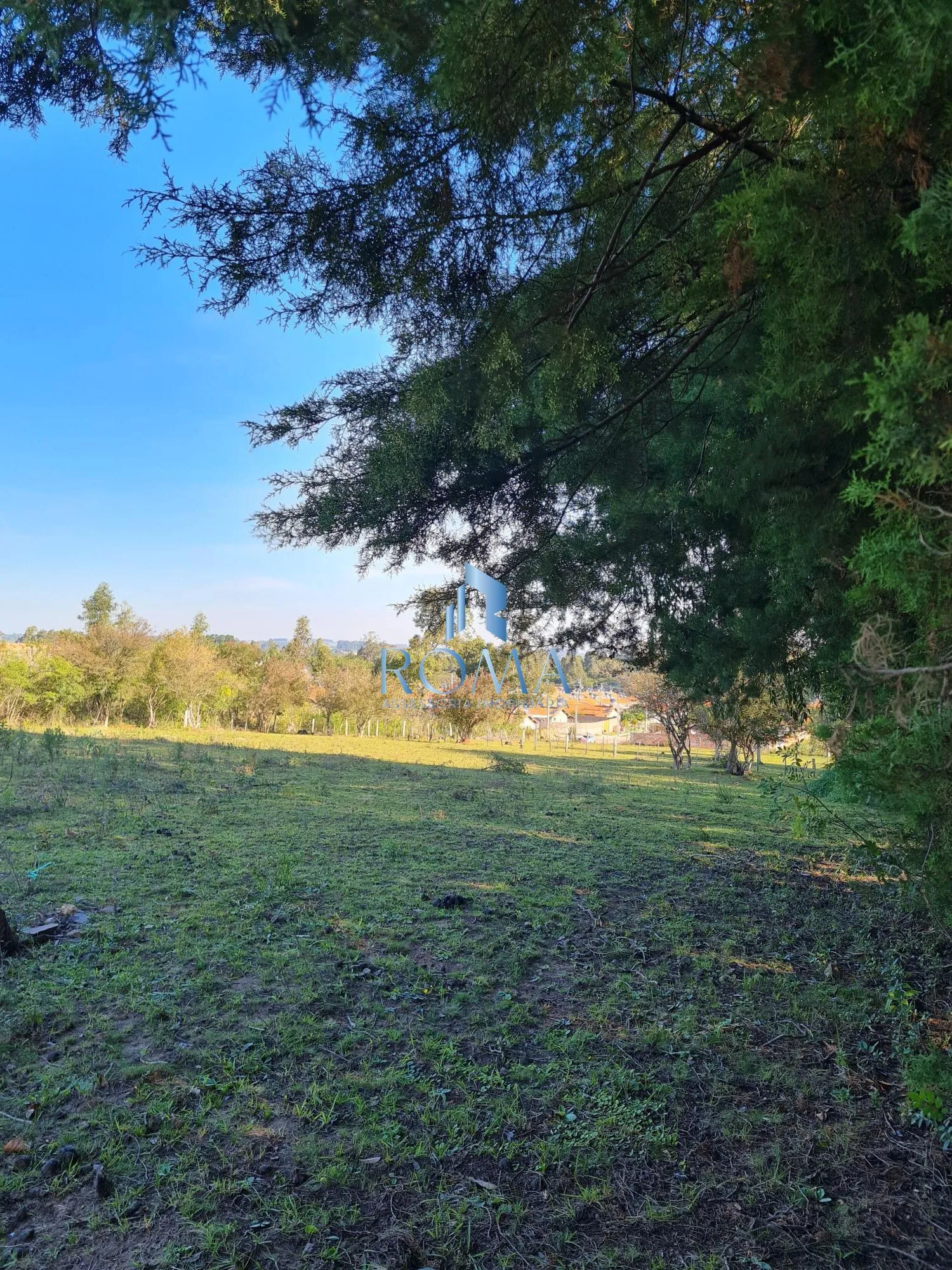 Imagem Campo à venda Tomazetti Santa Maria/RS