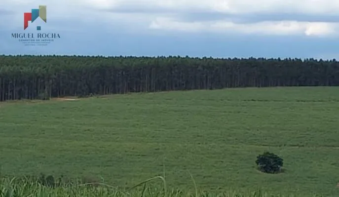 Imagem Fazenda Região de Piracicaba SP