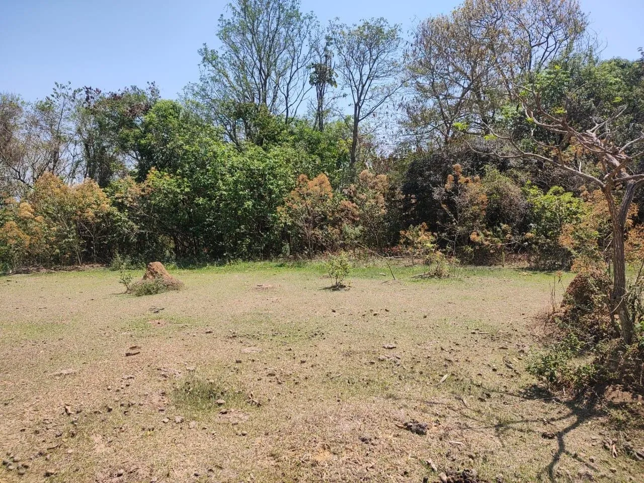 Imagem Chácara à venda, Goiabal, Pindamonhangaba, SP