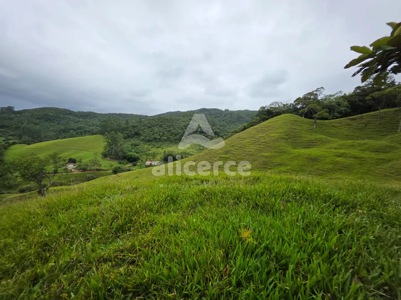 Imagem Sítio à venda em Antônio Carlos, SC, na Zona Rural - Morro da Gloria.