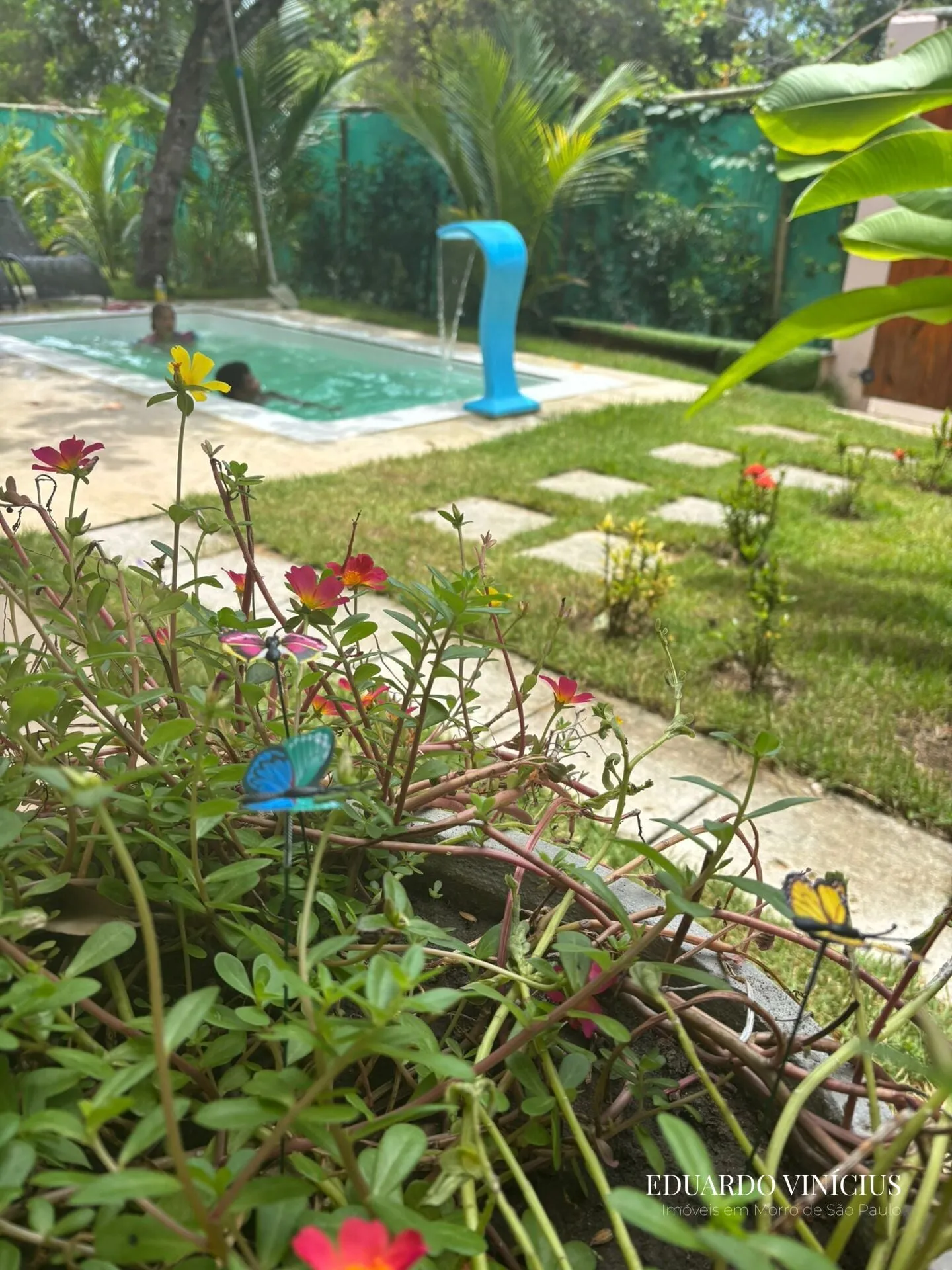 Imagem 3 Casas com Piscina à Venda em Boipeba - Bahia
