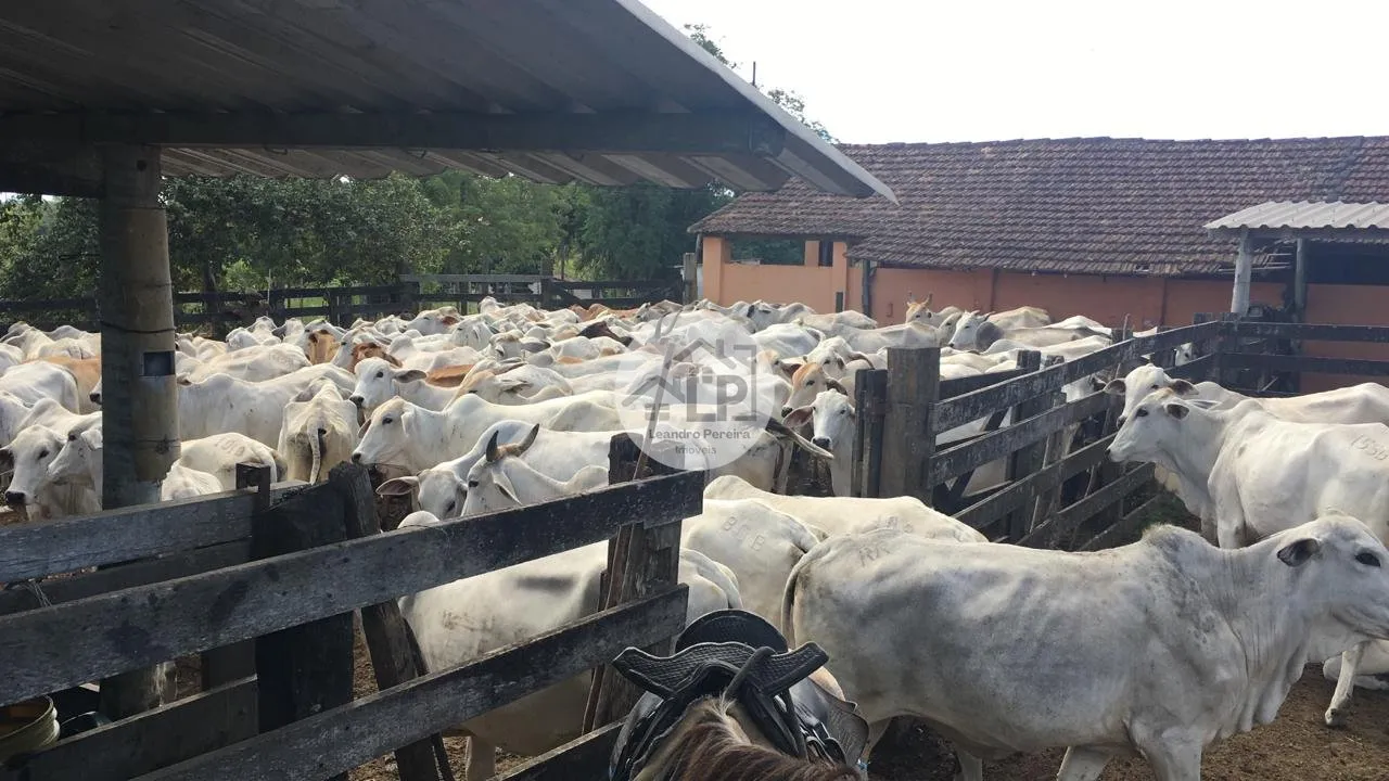 Imagem Fazenda/Sítios/Chácaras de 2300000m² no bairro Banqueiros, em Araruama