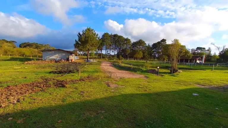 Imagem Chácara para Venda em Tijucas do Sul, Ambrósio