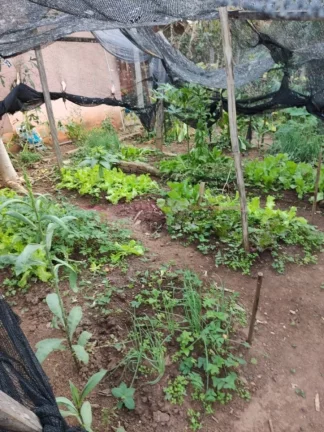 Imagem A Chácara tem 1000m2de terreno, casa com 3 dormitórios, sala ampla, cozinha, até gourmet e uma á...