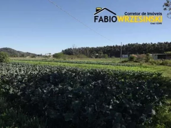 Imagem Terreno - Industrial e Comercial para Venda em Araquari/SC