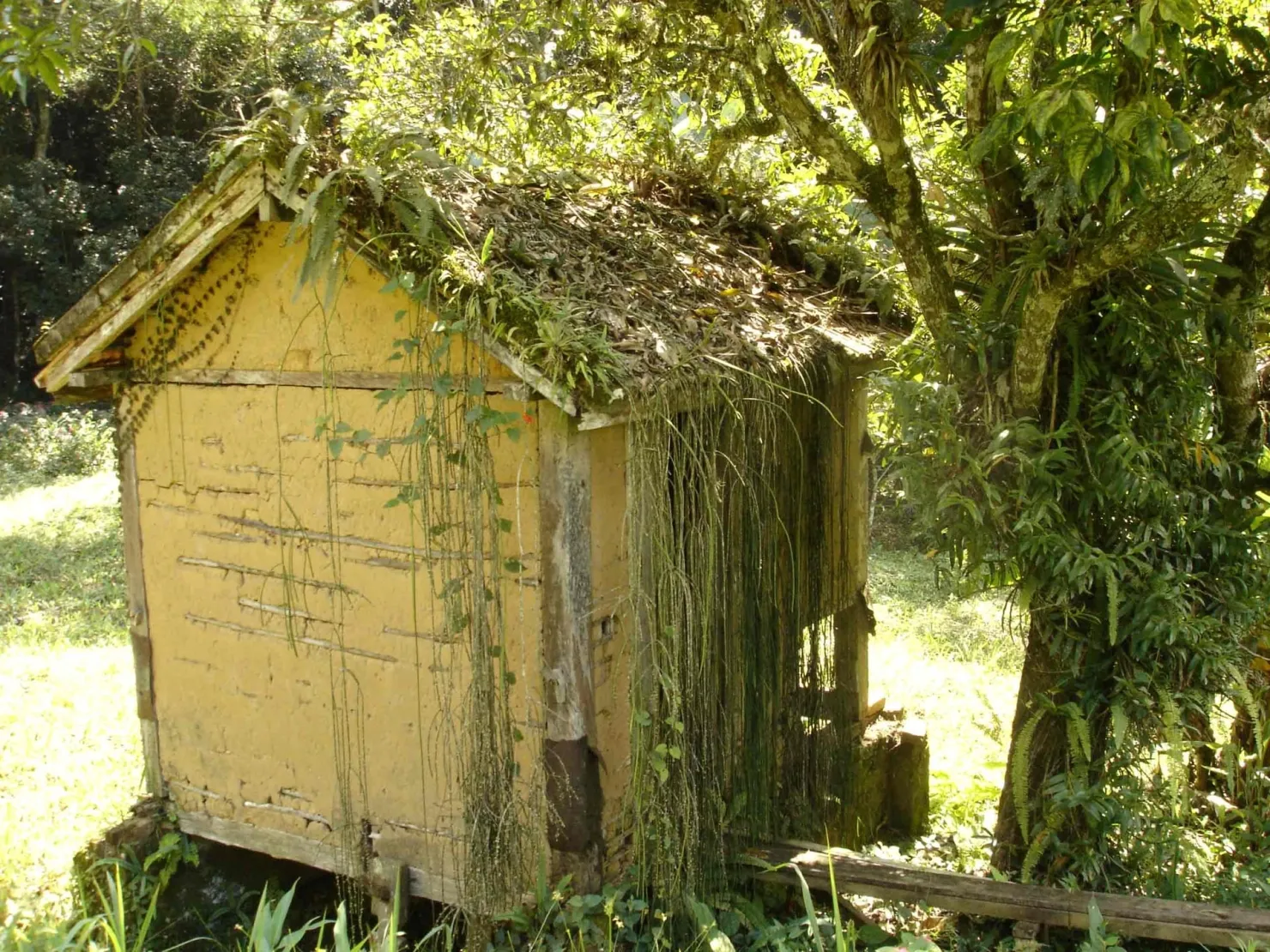 Imagem Sítio à venda 3 Quartos, 49000M², Ribeirão Grande, Pindamonhangaba - SP
