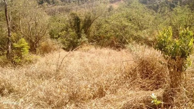 Imagem Terreno para Venda em Socorro / SP no bairro Camanducaia do Meio