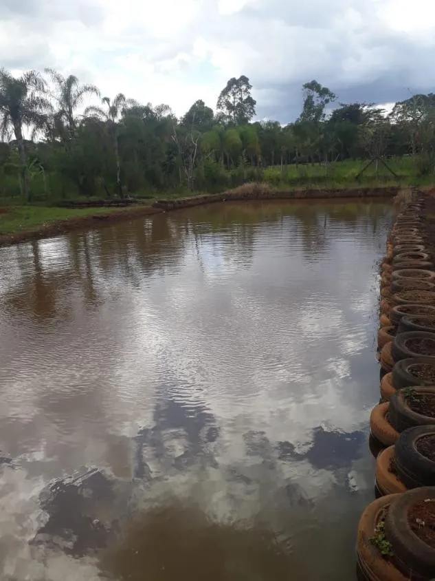 Imagem Venda de Sítio em Igarapé/MG / com 8.000 m²