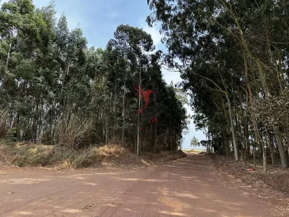 Vendo excelente Fazenda com 70 alqueires ,no Alto da Serra, Brotas - SP