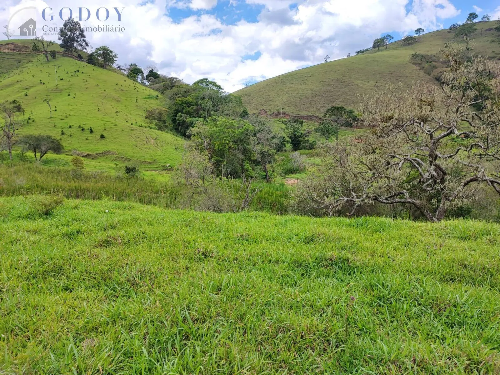 Imagem Área de 48.000 m² com excelente localização em Cunha/SP.