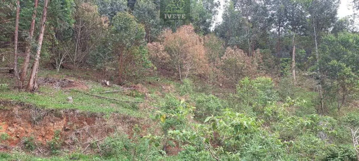 Imagem Ampla Área à Venda no Bairro da Lagoa - Socorro/SP