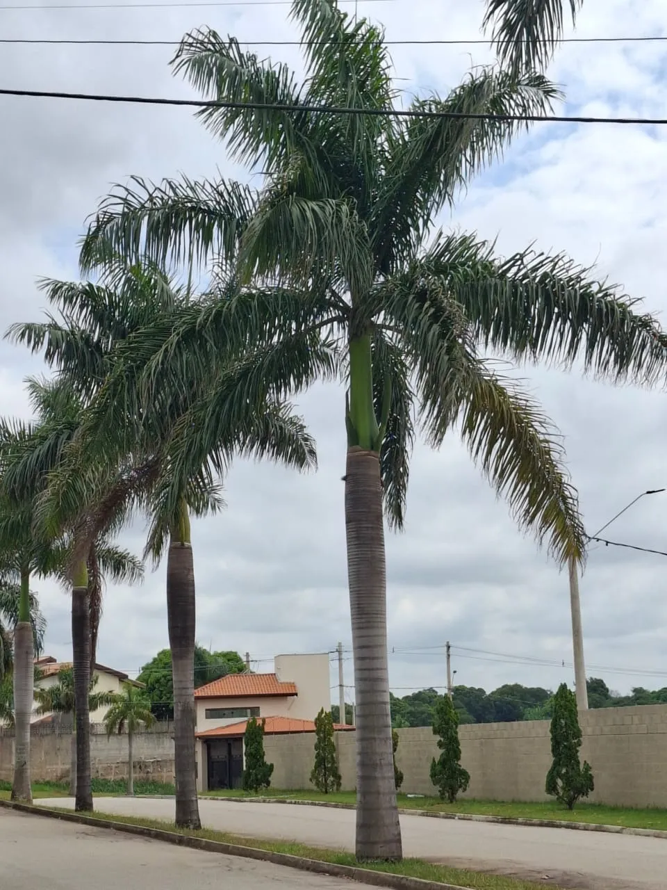 Imagem Terreno à Venda no Condomínio Villaggio Itália ? Sorocaba