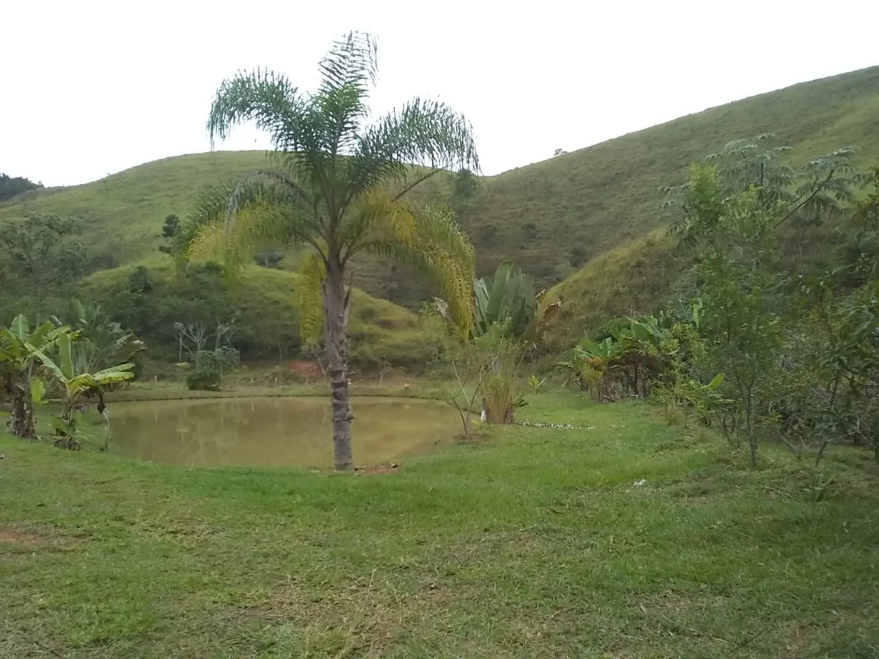 Imagem Chácara à venda 2 Quartos, 135000M², Zona Rural, Piquete - SP