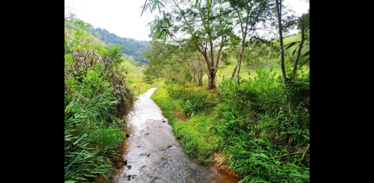 Imagem Chácara à venda 3 Quartos, 1 Suite, 488000M², Zona Rural, Monteiro Lobato - SP