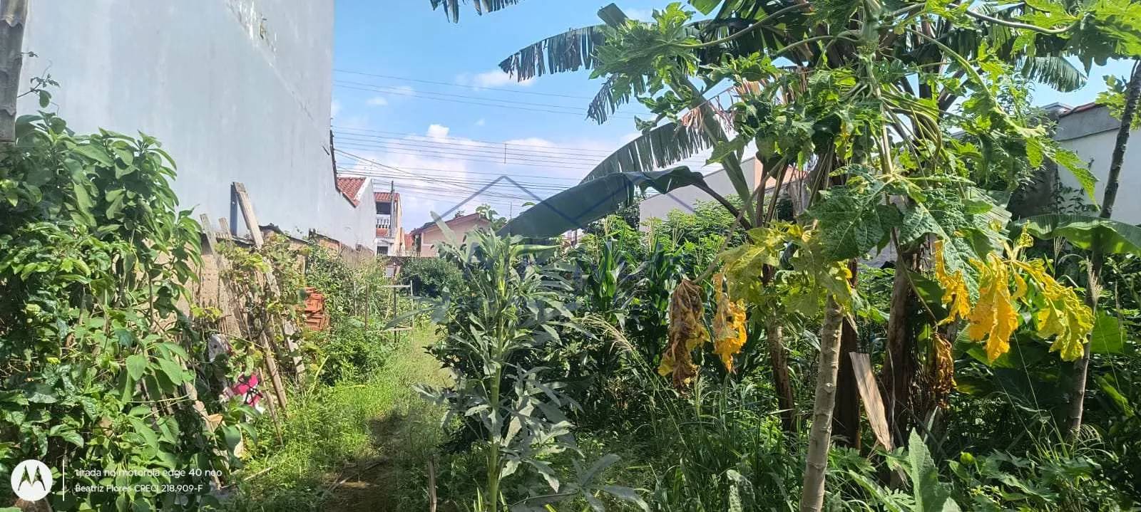 Imagem Terreno Padrão