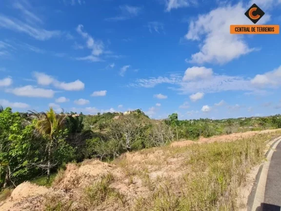 Imagem ÁREA - VIA PARAFUSO