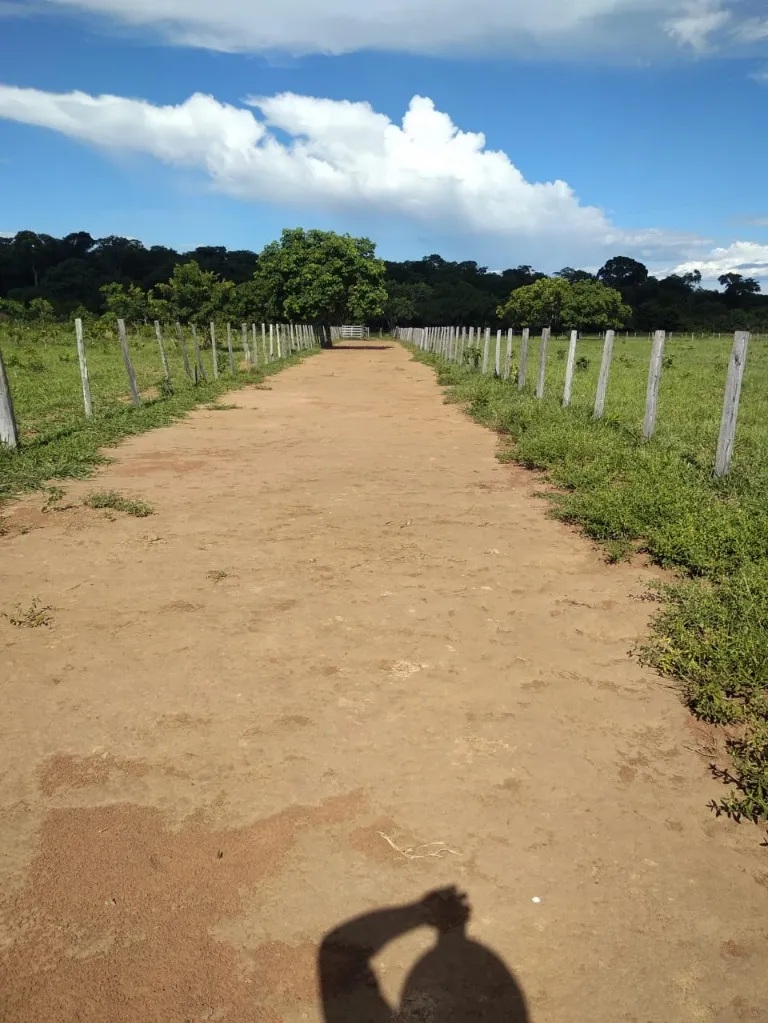 Imagem Fazenda de Rio Negro Mato Grosso do Sul-MS, Farms for sale in Brazil, farms in Brazil, Brazil farms
