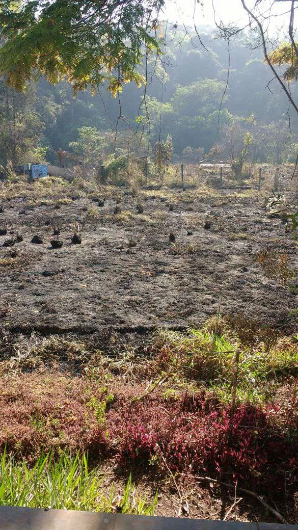 Imagem Terreno à Venda, 39.800 m² em Castanho - Jundiaí