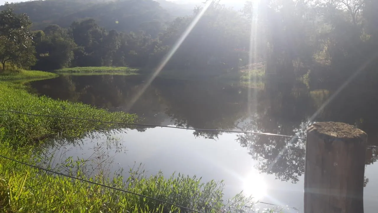 Imagem FAZENDA À VENDA - SÃO GONÇALO DO PARÁ 120 hectares de terra