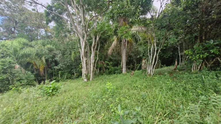 Imagem Terreno com Vista para o Mar na Praia da Ferrugem - Garopaba-SC!