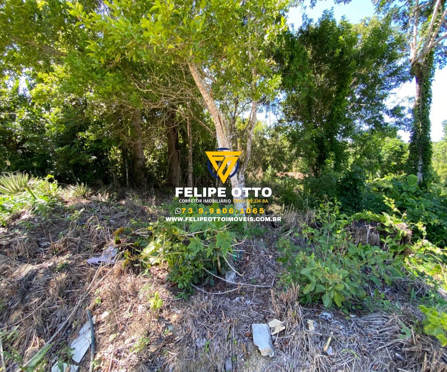 Foto do imóvel TERRENO RESIDENCIAL em PORTO SEGURO - BA, PARQUE ECOLÓGICO em PARQUE ECOLÓGICO, PORTO SEGURO - BA