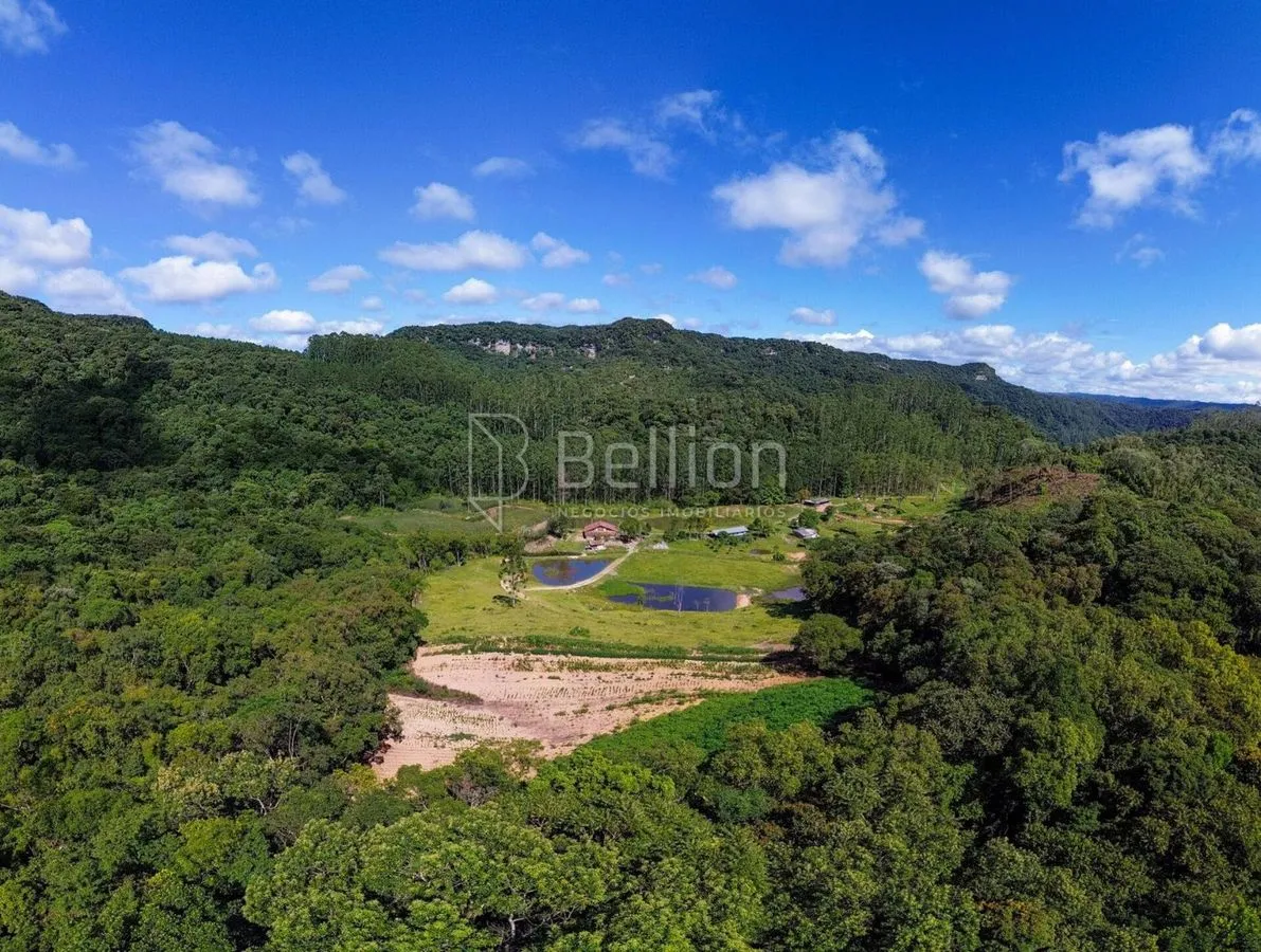 Imagem Sítio completo com lagoas, ribeirão e nascente em Rio dos Cedros