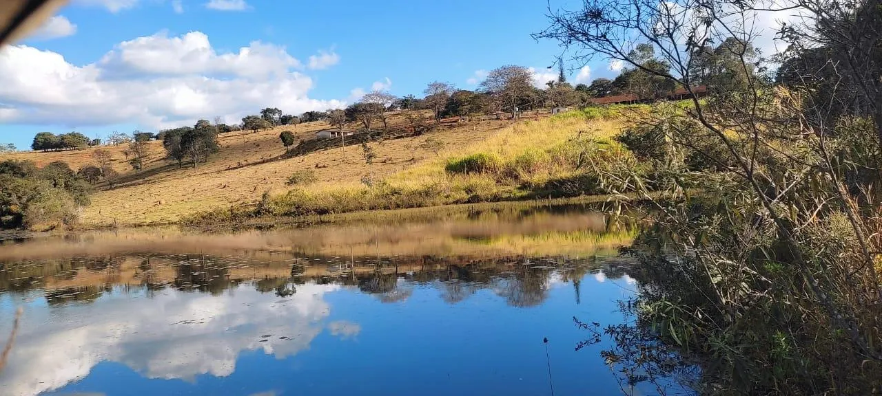 Imagem Vendo uma excelente fazenda na região de Itaúna/MG 212 hectares de terra