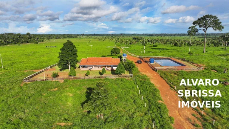 Imagem Vende/Permuta - Fazenda 390 Alqueires com Estrutura Completa a 120km de Porto Velho/RO