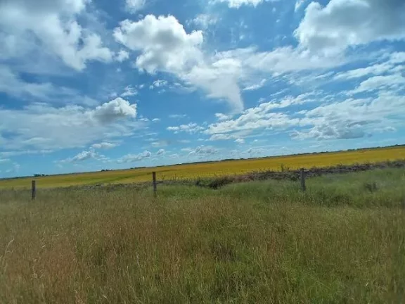 Imagem Fazenda à Venda – 194 Hectares – Viamão/RS