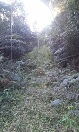 Imagem Área Rural Mairiporã lazer e moradia