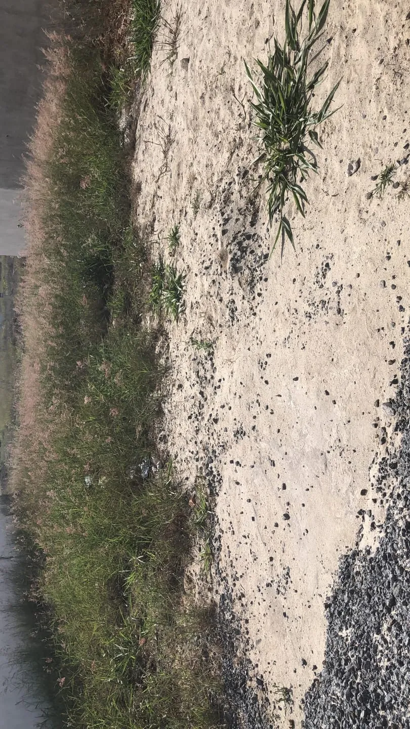 Imagem Terreno para Locação 250M², Residencial e Comercial Portal dos Eucaliptos, Pindamonhangaba - SP