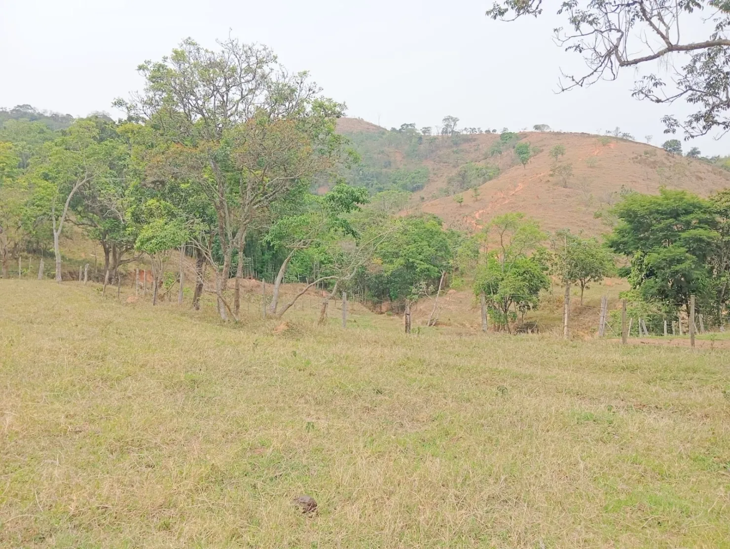 Imagem Fazenda proxima a Dutra paraa venda, , Roseira Velha, SP