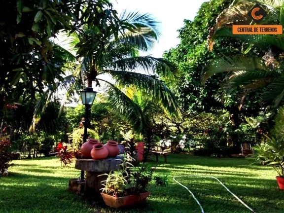 Imagem SITIO EM BARRA DE POJUCA