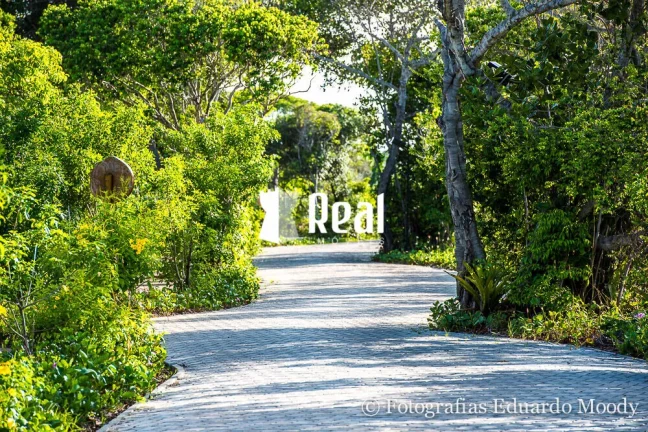Imagem Lote Plano a 150m da Praia