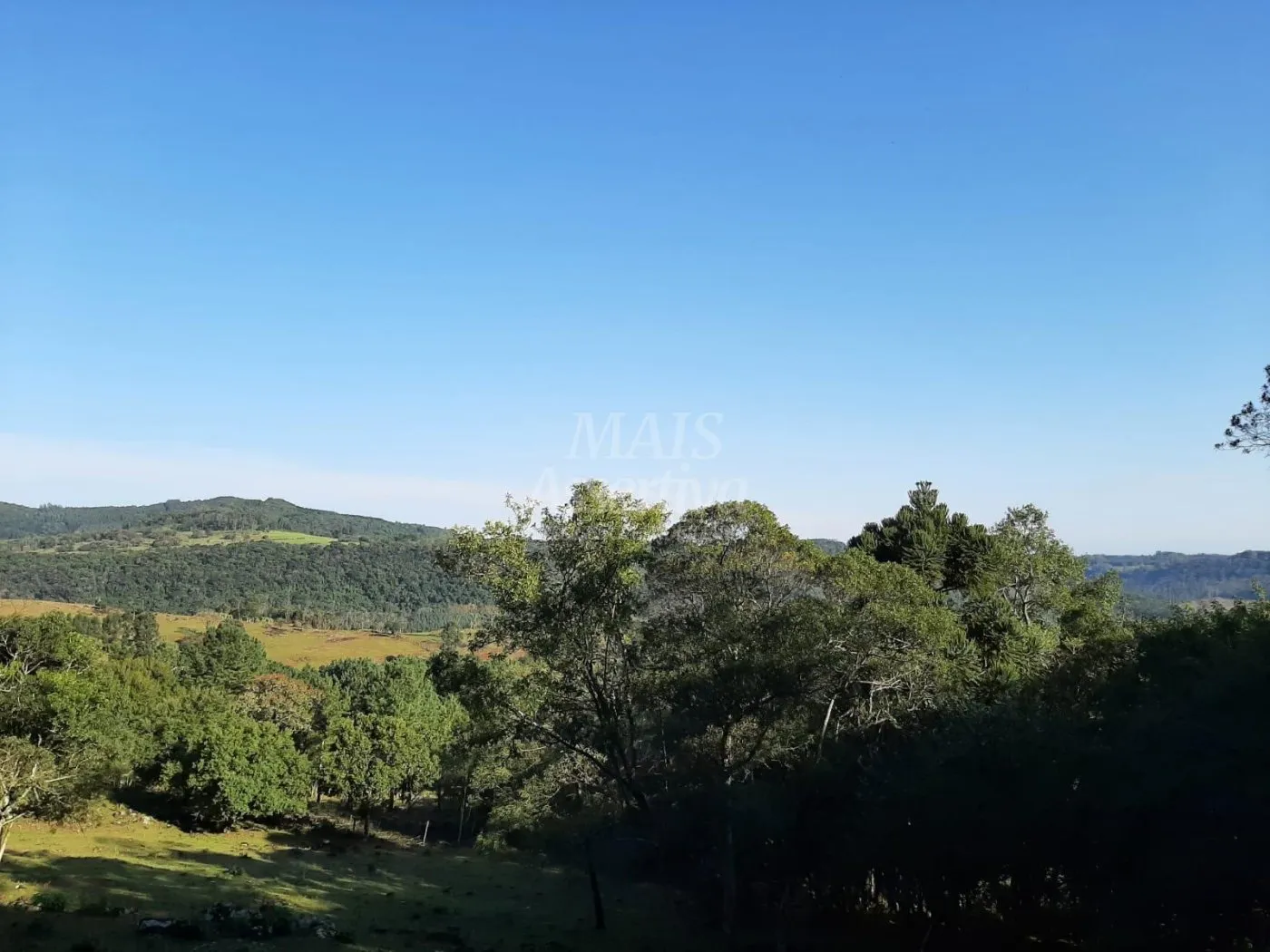Imagem Área de 10 hectares para venda em São Francisco de Paula