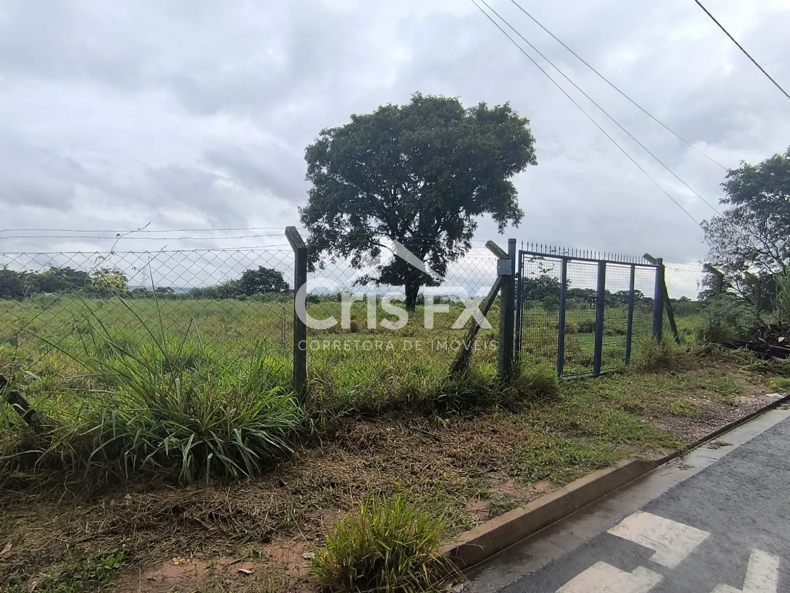 Imagem Lote/Terreno de 15000m² no bairro Vista Alegre, em Vinhedo