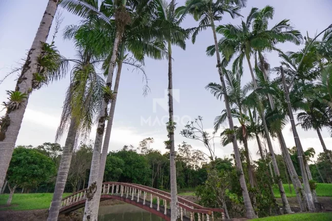 Imagem Chácara | Guaramirim (Tibagi) | 158.500m²