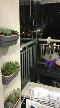 Imagem Apartamento com 2 Quartos à Venda, 57 m² em Quinta da Paineira - São Paulo