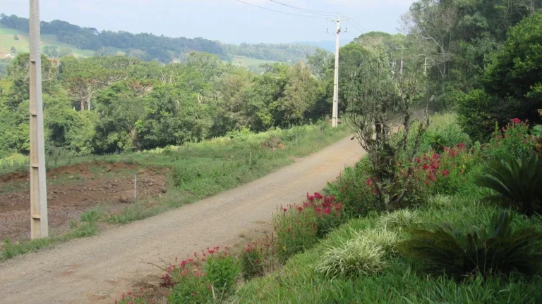 Imagem Área Agrícola para Venda em Peritiba, Lageado Mirim