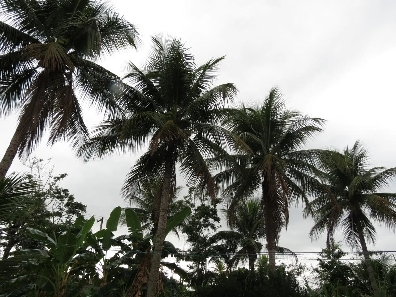 Imagem Chácara para Venda em Itaboraí, Calundu, 2 dormitórios, 1 banheiro, 2 vagas
