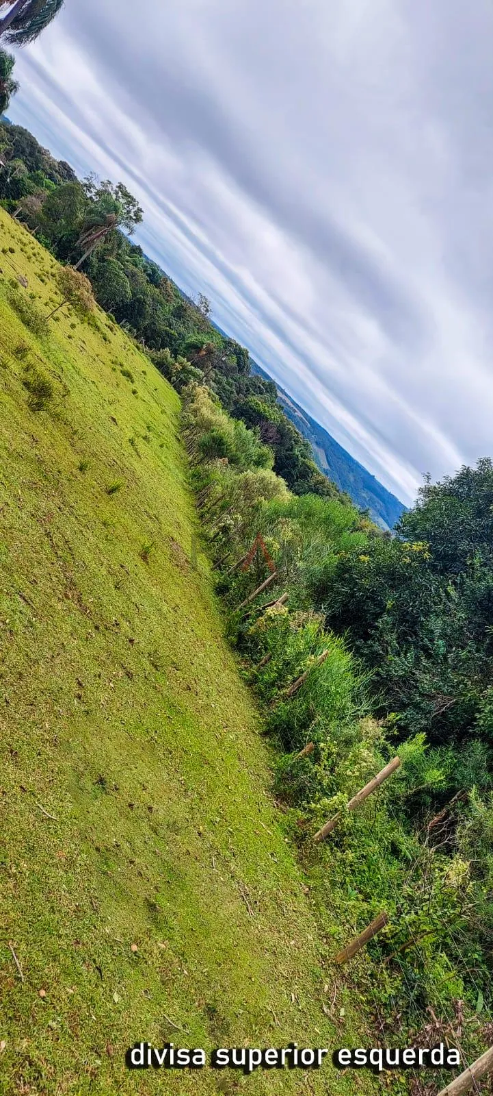 Imagem Chácara com 2 dormitórios à venda,60500.00 m , Guabiroba, GUARAPUAVA - PR