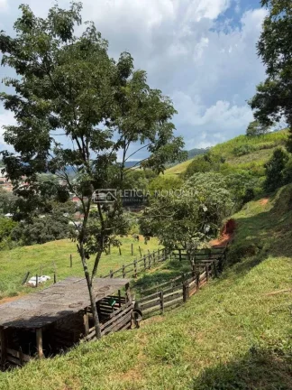 Imagem Terreno a venda